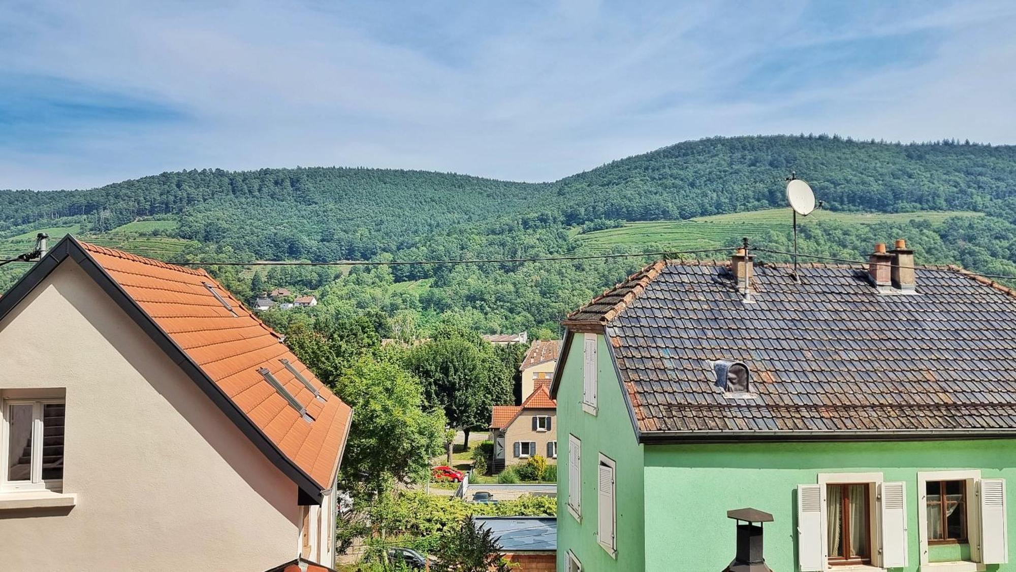 La Buhl Verte - Chic Et Moderne - Calme - Fibre - Relax Bnb Eksteriør billede