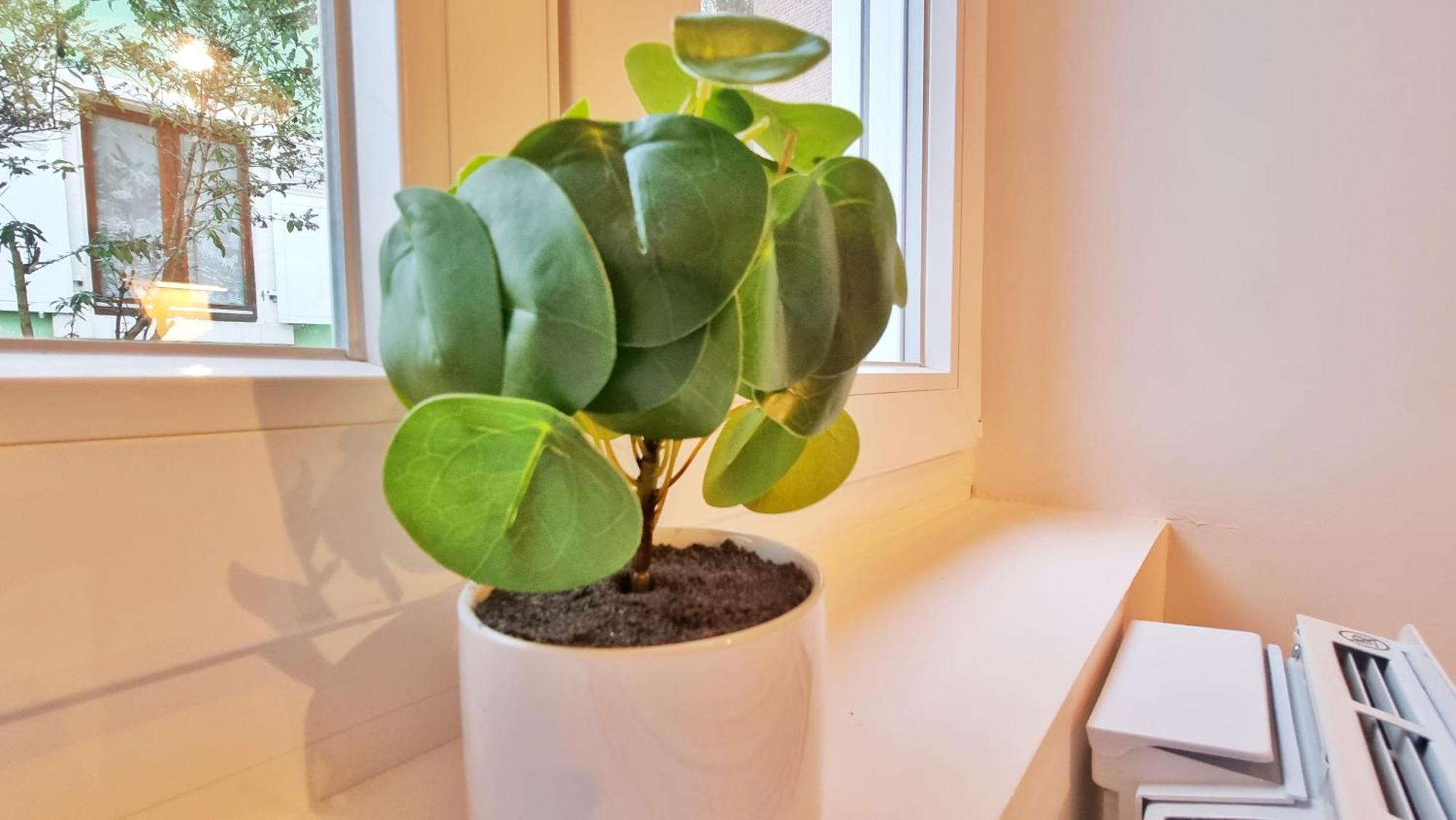La Buhl Verte - Chic Et Moderne - Calme - Fibre - Relax Bnb Eksteriør billede